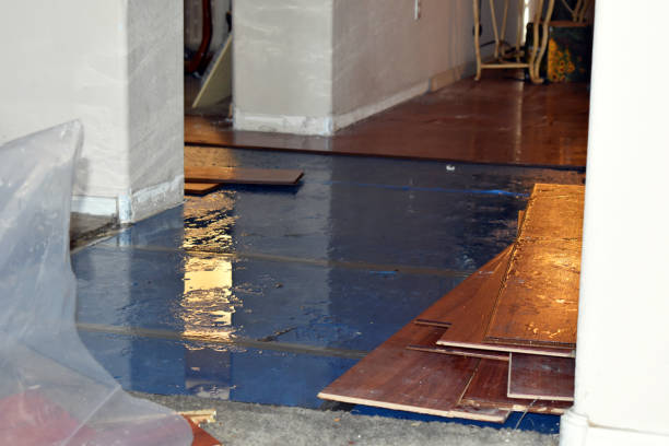Professional Burst Pipe Cleanup technician working in Woodville, TX